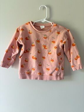 H&M Toddler 2T Adorable Sweet Southern Peach Sweatshirt Crewneck Long Sleeve